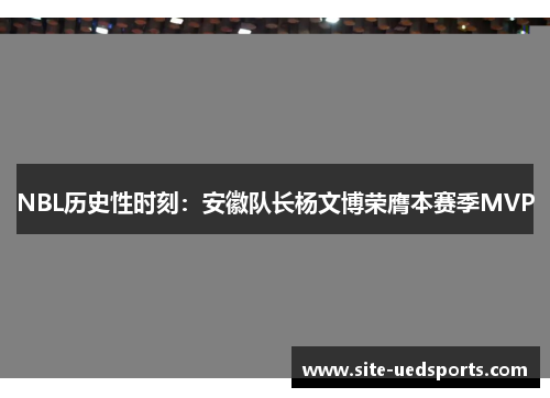 NBL历史性时刻：安徽队长杨文博荣膺本赛季MVP